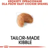 Royal Canin Cocker Adult, Dospělý jedinec, Kokršpaněl, Náhled obrázku produktu 3
