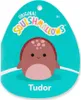 Squishmallows Schildkröte, Zvířátka na hraní, 3 rok/roky Náhled obrázku produktu 6