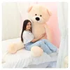 XXL Teddybär Plüsch Kuschel  Teddy Bär Valentinstag Produktbild-Vorschau 4