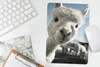 MuchoWow® Mauspad Mousepad Alpaka - Weiß - Tier 18x27 cm - Produktbild-Vorschau 5