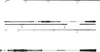 Daiwa Seahunter X Surf 3.90m 100-250g Anteprima dell’immagine prodotto 2