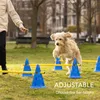 Navaris Hundetraining Hürden Set - Agility Set für kleine Produktbild-Vorschau 3