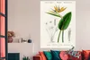 MuchoWow® Poster Pflanze - Vintage - Blatt 120x180 cm - Produktbild-Vorschau 3