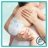 Pampers Baby Windeln Größe 3 (6-10 kg) Harmonie, MONATSBOX, Produktbild-Vorschau 6