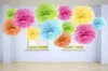 Pompom rosa 25 cm Náhled obrázku produktu 2