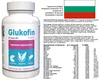 Glukofin - 60 Kapseln hochdosiert - Original Rezept aus der Produktbild-Vorschau 9
