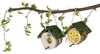 JR Farm Garden Peanut Pot Erdnuss-Hütte inkl. Nachfüller Produktbild-Vorschau 3