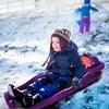 Fine Life Pro skibob sáňky Bob sáňky Dětský bob s brzdami Náhled obrázku produktu 5