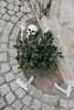 PartyDeco Skeleton, Dekoration, Polypropylen (PP), Weiß, Produktbild-Vorschau 1