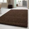 A brown shaggy rug is placed on a light-colored floor in a room with furniture and a plant. Anteprima dell’immagine prodotto