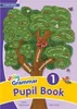 Grammar 1 Pupil Book Produktbild-Vorschau 3