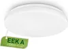 A white ceiling lamp with an energy efficiency label attached. Anteprima dell’immagine prodotto