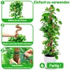 2 Stück Moosstab Monstera, Biegsame Monstera Rankhilfe für Produktbild-Vorschau 4