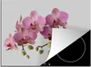 KitchenYeah© Herdabdeckplatte Orchideen auf grauem Produktbild-Vorschau 1