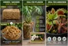 Sphagnum Moos 1kg – Premium Sphagnum Moos für Orchideen, Produktbild-Vorschau 10
