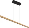 Globo Lighting Hängeleuchte Metall schwarz matt, LED Produktbild-Vorschau 1