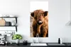 MuchoWow® Poster Schottische Highlander - Landschaft - Kuh Produktbild-Vorschau 3
