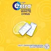 Wrigleys Extra Professional WHITE Citrus Dose 50 drážok 70g Náhľad obrázku produktu 4