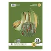 Staufen Ringbucheinl A4 50Bl 70g Lin28 Style kariert mDR Produktbild-Vorschau 6