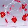 Mini-LED hartjesketting – Hartjesverlichting – Decoratie Productafbeelding-voorbeeld 3