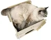 Katzenmöbel Catit Vesper Cottage 50 x 50 x 49 cm Eiche Produktbild-Vorschau 3