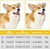 Niedlicher, entenförmiger Hundemaulkorb aus weichem, Produktbild-Vorschau 2