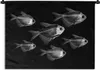 MuchoWow® Wandteppich Wandbehang Salmler auf schwarzem Produktbild-Vorschau 1
