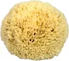 Naturschwamm P160 Premium, ca. 16 cm Produktbild-Vorschau 2