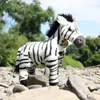 RAPPA Peluche zebra in piedi 30 cm ECO-FRIENDLY Anteprima dell’immagine prodotto 5