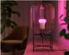Philips Hue Whiteca 6.5w A60 E27 2p Eur (929002489602) Produktbild-Vorschau 4