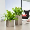 Pot Pot Owl Corner Stone Tower 40 (40 x 40 x 76 cm) Beige Anteprima dell’immagine prodotto 18