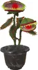 Pianta carnivora decorazione per feste di Halloween Anteprima dell’immagine prodotto 1