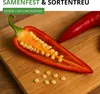 Tabasco Peperoni Etna Samen - Capsicum frutescens - Produktbild-Vorschau 7