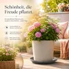 Pflanztopfuntersetzer Mira Anthrazit Ø 68cm - Frostsicher & Produktbild-Vorschau 4