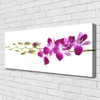 Tulup Leinwand-Bilder 125x50 Wandbild Canvas Kunstdruck Produktbild-Vorschau 2