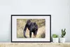 MuchoWow® MuchoWow® Gerahmtes Poster Bild eines Gorillas Produktbild-Vorschau 4