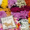 Dackel mit Blume Kissen mit Spruch Gute Laune Kissen Produktbild-Vorschau 5