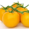 Stabtomaten Goldene Königin Samen - Solanum lycopersicum - Produktbild-Vorschau 5