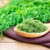 Dill Dillsamen Früh Zum Beizen 5G Produktbild-Vorschau 13