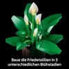 LEGO Botanicals 11504 Fleurs de lune - Ensemble de plantes Voir les images du produit 38
