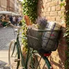 Pletscher 51702.00 Panier arrière Deluxe XXL, 45x32x27cm, Voir les images du produit 3