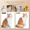 Katzenbürste mit Dampf, 4 in 1 Dampfbürste Katzenbürste mit Produktbild-Vorschau 2