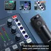 ZELURXX Kondensator Mikrofon Set mit Arm & Soundkarte – Produktbild-Vorschau 5