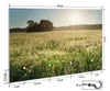 Wallario Handtuchhalter aus Glas, Motiv: Wiese im Licht der Produktbild-Vorschau 2