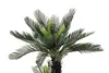 Künstliche Cycas Palme 100 cm mit 41 Palmenwedel Kunstpalme Produktbild-Vorschau 2