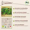 Samenliebe  Okra Samen | Pabhoi - lange - samenfestes  Produktbild-Vorschau 3