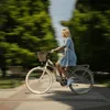 Goetze Mood 28 Zoll City Bike, 18 Zoll ALU Produktbild-Vorschau 6