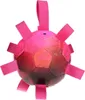 Dog Comets Ball Hypernova - Pink Náhľad obrázku produktu 1