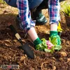 KOTARBAU® Mini pala Pala in acciaio per fiori Pala a mano Anteprima dell’immagine prodotto 2