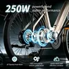 PIXAR Otium 3 Elektrofahrrad Tiefeinstieg 26" Cityrad 250W, Produktbild-Vorschau 7